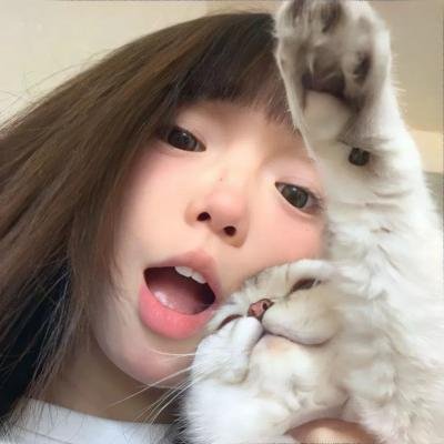 动画人生